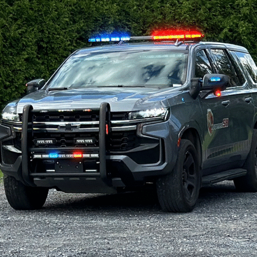 Sh tahoe img 5565